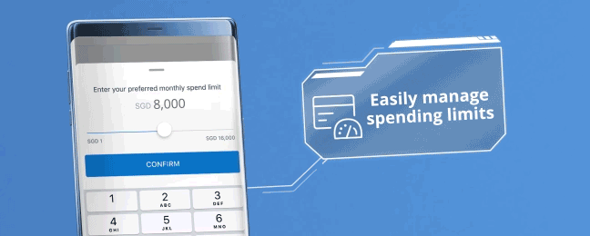 Set spending limits for yourself and any supplementary cards