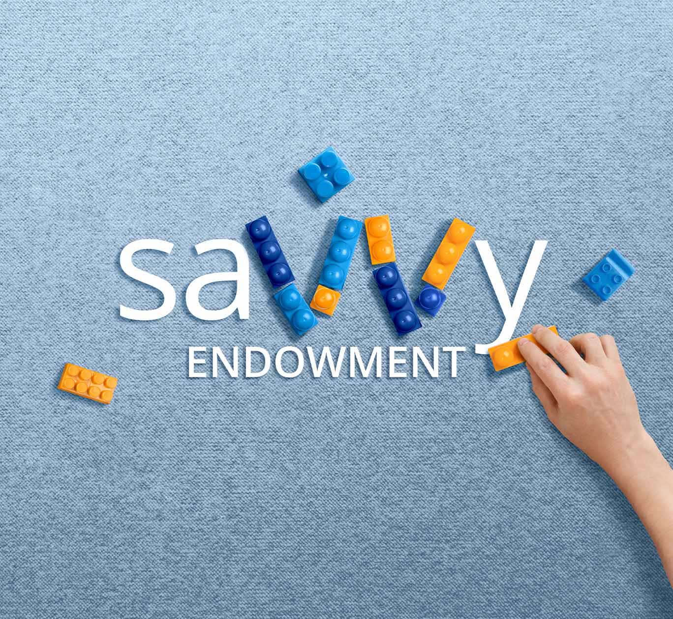 2-year endowment plan, SavvyEndowment 11